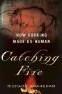 Catching-Fire-cover