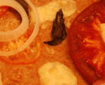 pizza-closeup Yum!!!