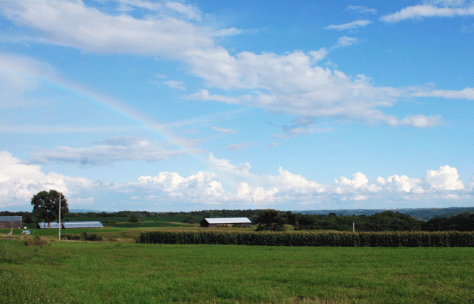 rainbow-over-my-44-acres-in I saw this rainbow while driving in the Driftless yesterday