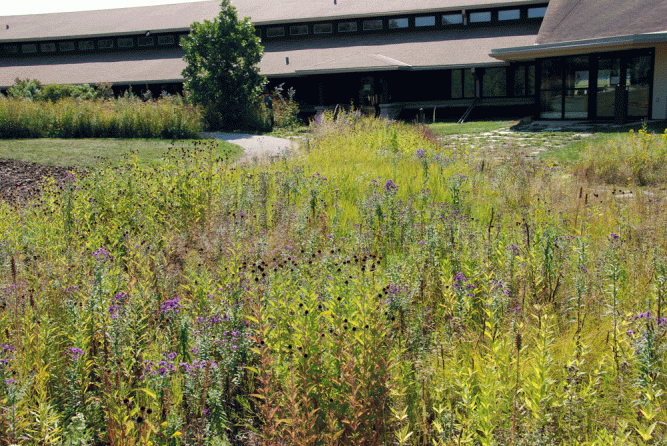 --Sweeping Prairie Swale designed by Darrel Morrison