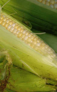 ....This is the good stuff!