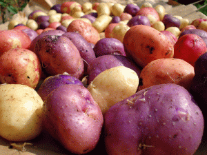 ...(photo credit freeranglifes-photostream flickr)