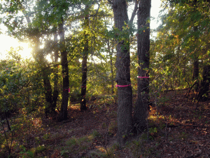 Marked for removal.  We should have been tougher.