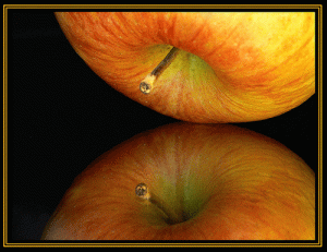 photo credit Artifex photostream Flickr