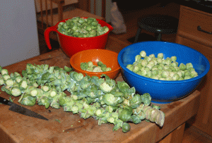 ..My advice is get your sprouts on the stalk.  You'll still need to go over every one and trim it more, so you might as well enjoy their amazing sprout carrying system.  (and they are fresher!)