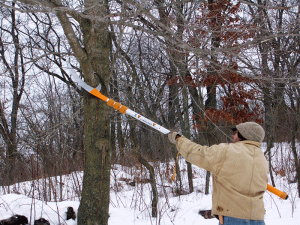 scoring-the-underside