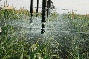 5011712727_8d38fca378_b