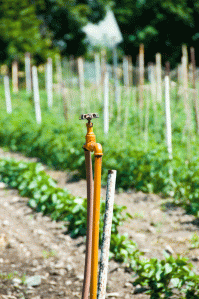 827230580_25ce87a40c_b