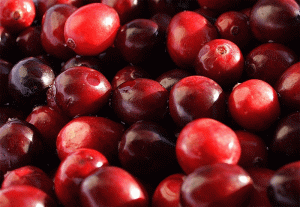 cranberrie-closeup
