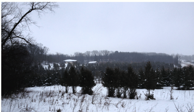 We're having a string of gray days.