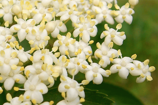 photo credit http://www.flickr.com/photos/7147684@N03/1292362374/sizes/o/in/photostream/ 