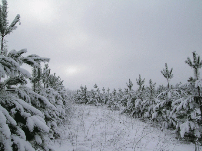 "Don't it always seem to go that you don't know what you've got till it's gone?"  Joni Mitchell