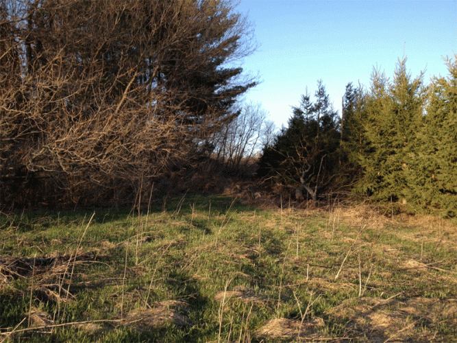 This is blocking sun and wind from the east.