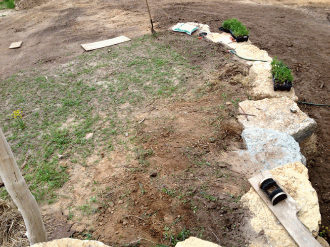 My new native flower bed -- "before" shot.