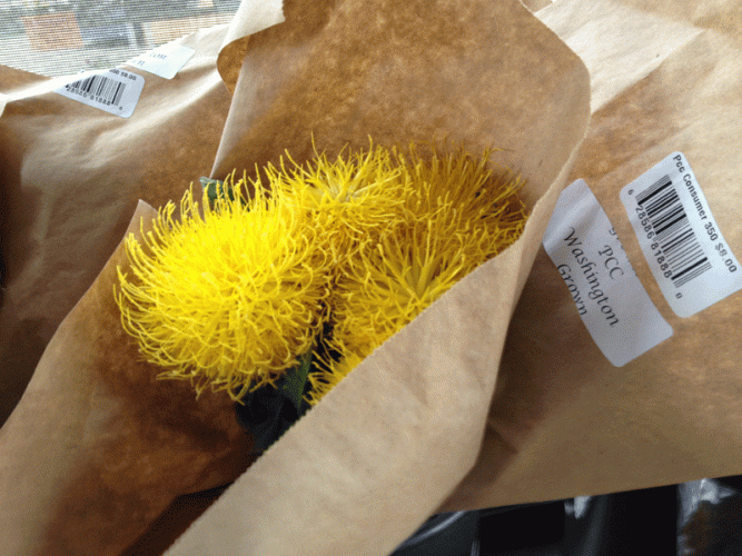 They looked harmless enough.