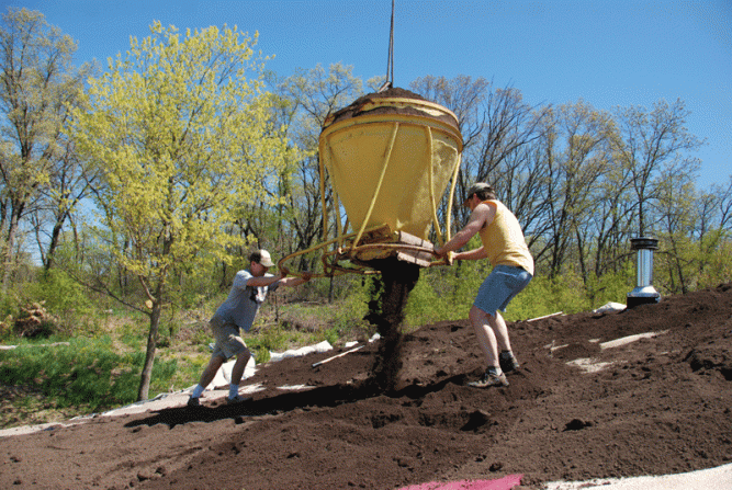 This was sifted top soil with extra organic material. Unfortuately, as is always the case, a lot of that organic material was weed seed.