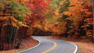 photo credit: Hudsonobserver.com