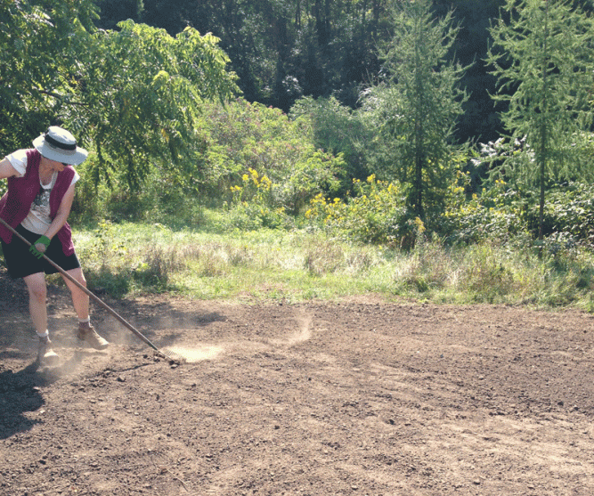 Denise-raking-sept-6