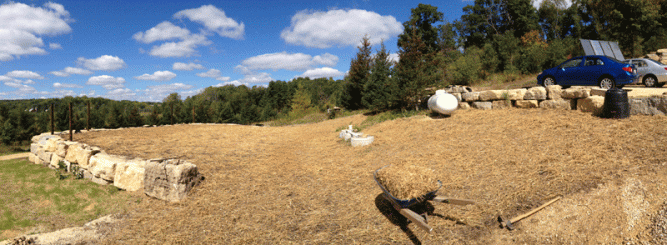Our terraced garden site, we cover cropped in annual rye, then tucked it in under a thin blanket of straw.