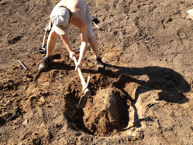 On the north side (our last section) the tiller hit a rock, but when we tried to dig it out, we were never able to find the edge where the rock stopped. At this point we knew we could not move it ourselves, so we just reburied it.