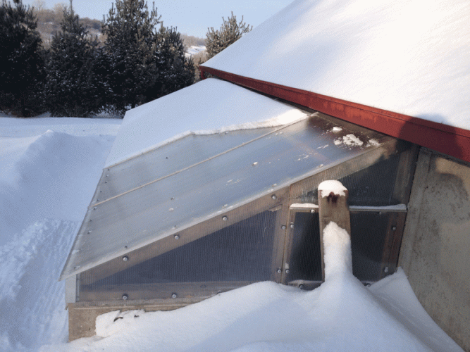 I'm still sweeping snow off the greenhouse every few days so it can start warming up.