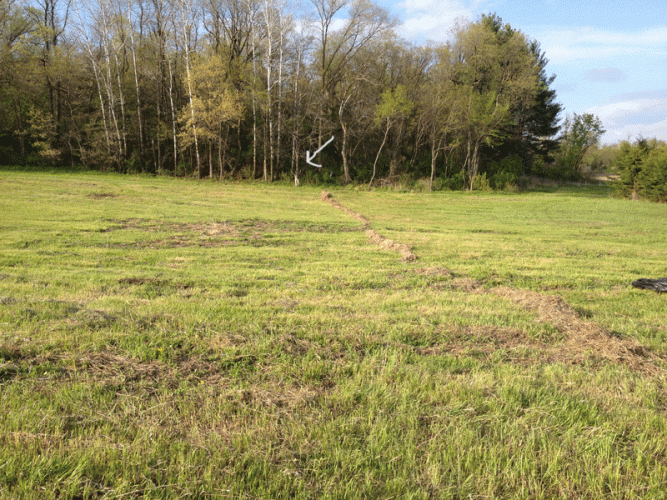 See Doug way over there on the other side?  Sometimes our little field felt pretty darn big.