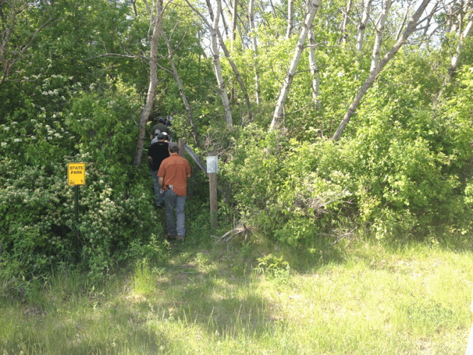 A walk in the woods.