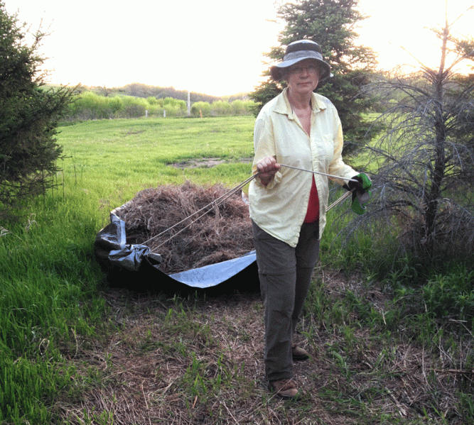 Kind of a drag. IAs we pulled our rakings off the field, we developed a keen appreciation of what it's like to be a draft animal.