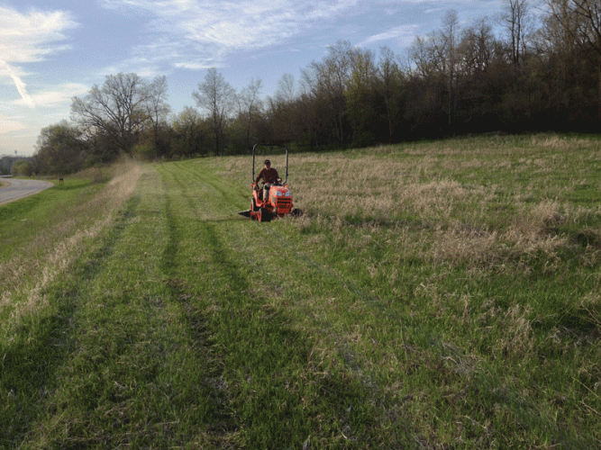 mowing