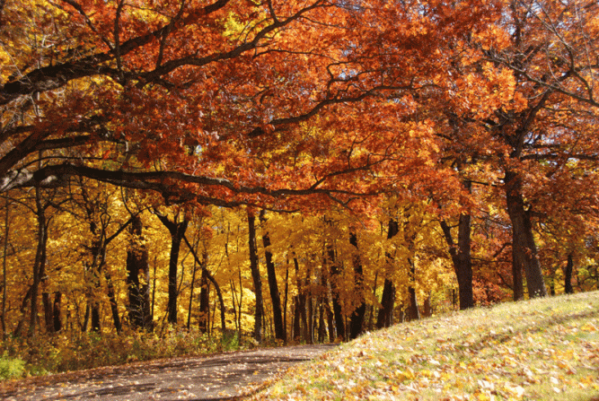 A walk at Wyalusing State Park where the Wisconsin and Mississippi rivers converge.