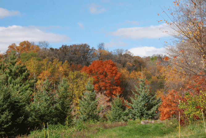 The view to the north from our porch.