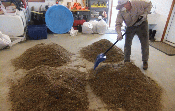 Jim divides seed for each of 21 areas.