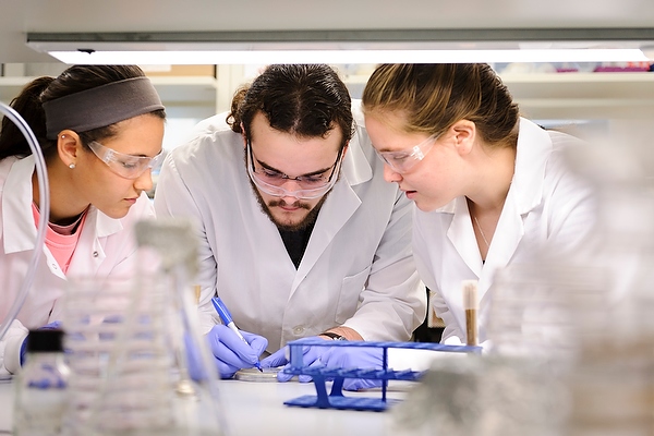From left to right, undergraduates AnaElise Beckman (wearing pink shirt), Michael Zaiken and Alexandra Cohn prepare a bacteria culture for their Biobulb project while working in a research lab at the Wisconsin Institute for Discovery (WID) at the University of Wisconsin-Madison on Oct. 10, 2013. WID Frontier Fellows, the three are developing an idea for a light bulb that is driven by microbes in a self-contained ecosystem. The project received one of 24 crowdsource-funding slots in Popular Science magazine's #CrowdGrant Challenge. (Photo by Jeff Miller/UW-Madison)