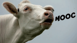 Cow-MOOC