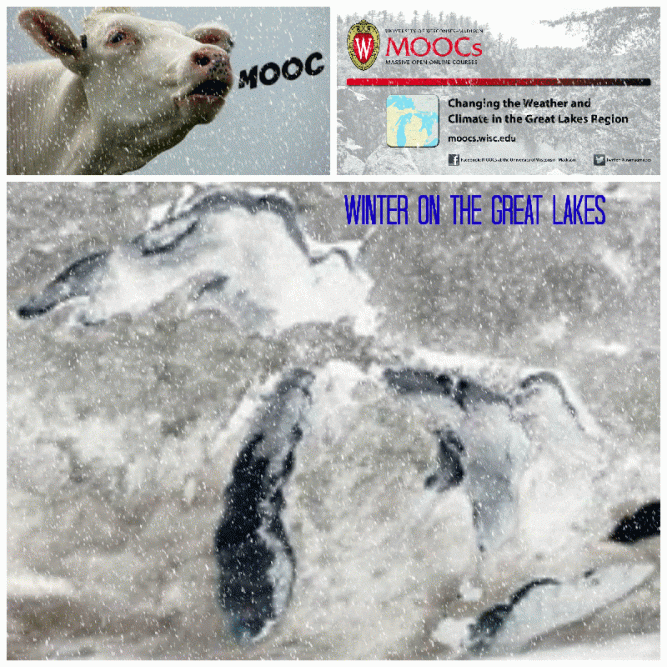 Winter-Collage.gif-for-blog