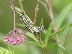 B9315804220Z.1_20150113170957_000_G0N9KN87J.1-0