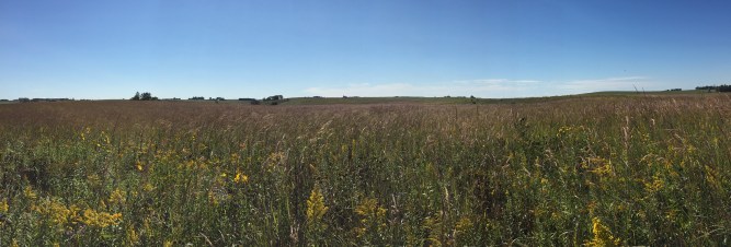 Goose Pond Wildlife Sancutary